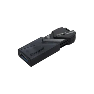 Kingston DataTraveler Onyx 256 GB USB 3.2 Gen 1